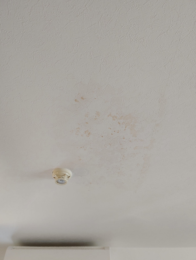 Before：